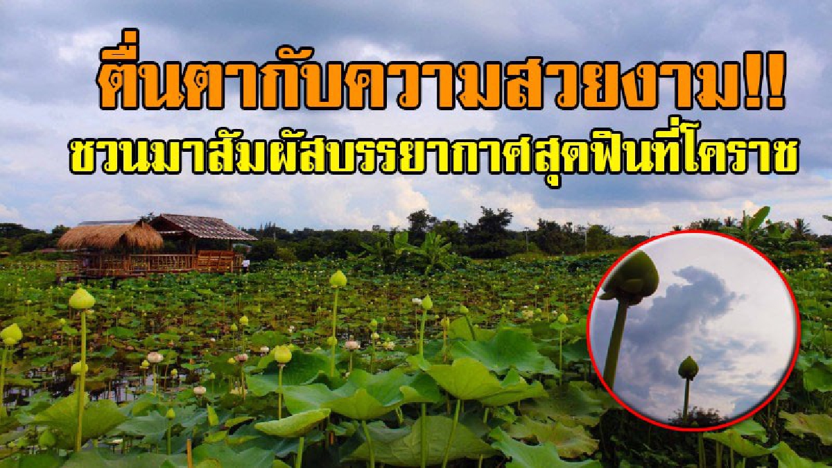 แบบนี้...เอาไปเลยพันไลค์เลย!? ชวนสัมผัสความงามแบบวิถีชีวิตชนบท ที่ปลอดภัยของ "ปอด" แห่งใหม่ ไม่ไปไม่รู้ แต่ถ้าไปดูแล้วจะติดใจ!? (มีคลิป)