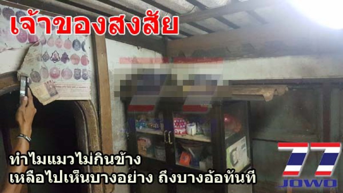 เจ้าของบ้านสงสัย ทำไมแมวไม่กินข้าว?? เหลือบไปเห็นบางอย่าง ถึงบางอ้อทันที (มีคลิป)