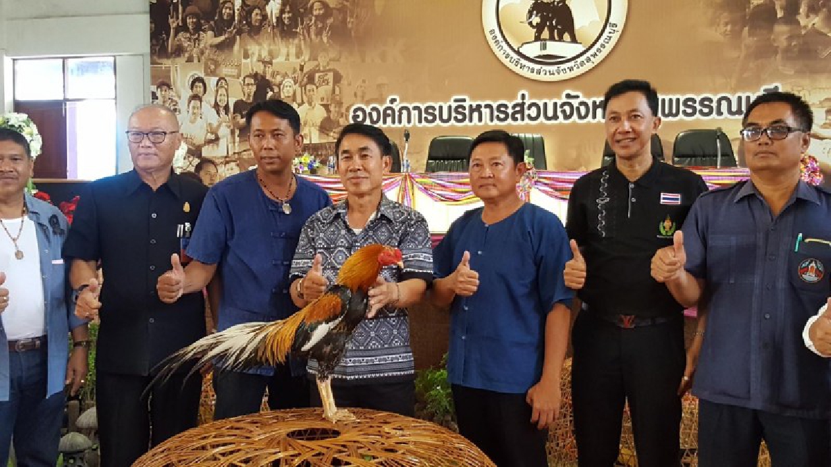 ยิ่งใหญ่อลังการ!! สุพรรณบุรี เตรียมจัดประกวดไก่พื้นเมืองสวยงาม อนุรักษ์ไก่พื้นเมือง สร้างอาชีพสร้างรายได้ชุมชน (มีคลิป)