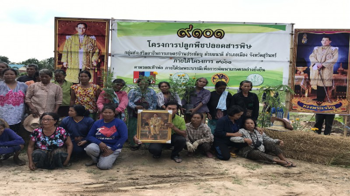 ตามรอยเท้าพ่อ ร.9 ภายใต้ร่มพระบารมี เพื่อการพัฒนาการเกษตรอย่างยั่งยืน ชาวบ้านเมืองช้างน้ำตาริน &ldquo;กษัตริย์ในดวงใจ คนไทยทั้งแผ่นดิน" (มีคลิป)