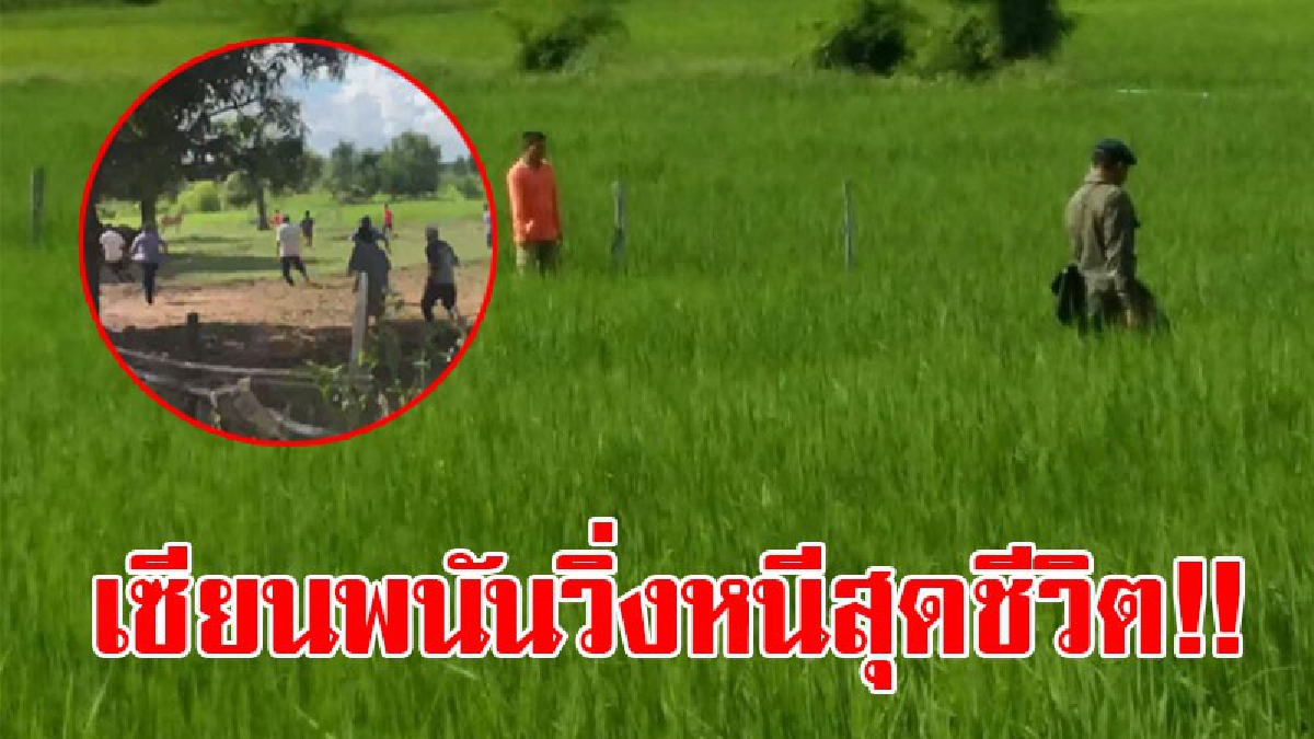 งานนี้ตัวใครตัวมัน!? เปิดคลิปสุดระทึก วิ่งไล่ล่าเซียนพนันกว่า 20 ชีวิต หลังทราบแอบมานั่งเล่น "ไฮโล" อย่างเมามันส์อยู่ท้ายหมู่บ้าน!?