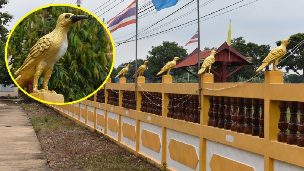 อ่างทอง วัดดังสร้างสัญลักษณ์ นกสีทองขนาดใหญ่ อยู่บนกำแพงโดยรอบวัดอย่างสวยงาม จำนวน 80 ตัว เพื่อเป็นสัญลักษณ์บ่งบอกว่าได้มาถึง อ.ไชโย แล้ว