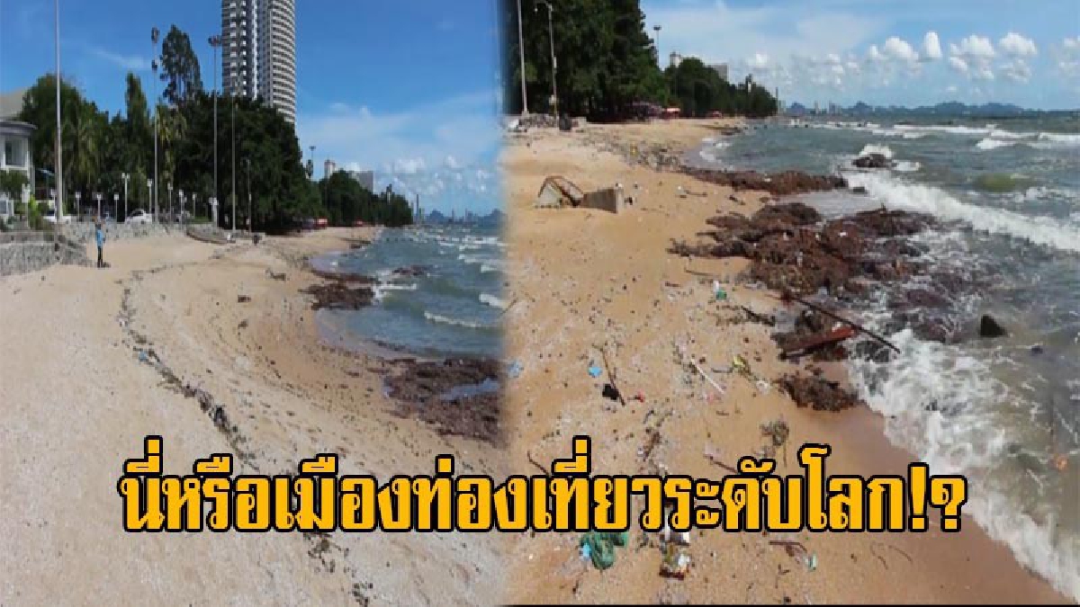 สุดโทรม!! หาดยินยอม บนเขาพระตำหนักเมืองพัทยา ถูกปล่อยทิ้งร้าง ไร้การดูแล ขยะเกลื่อน นทท.จวกยับ นี่หรือเมืองท่องเที่ยวระดับโลก!? (คลิป)
