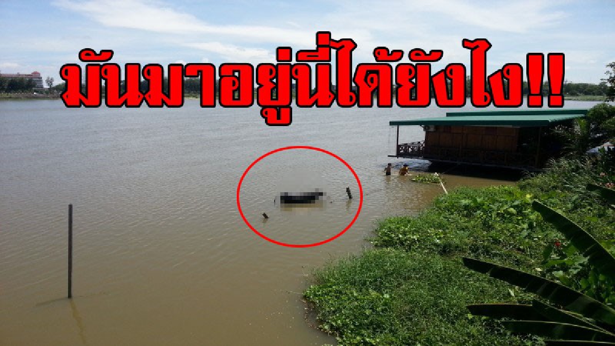 ไอ้ตัวนั้นมันตัวอะไร..ตัวดำๆ!? ชาวบ้านสุดงง พบตัวดำขนาดใหญ่ อยู่ในแม่น้ำปิง พอไปดูใกล้ต้องผงะ รีบเข้าช่วยเหลืออย่างเร่งด่วน!? (ชมคลิป)