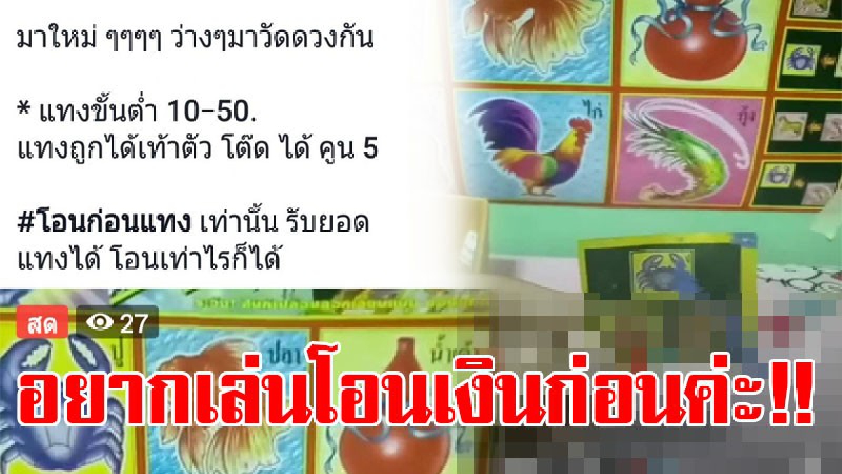 สุดโจ่งครึ่ม...ไทยแลนด์โอลลี่!! สนั่นเฟซบุ๊ก สาวใจกล้าเปิดไลฟ์สด แทงได้แทงเสีย น้ำเต้าปูปลา แบบไม่เกรงกลัวกฎหมาย ลูกเพจแห่แทงคึกคัก!?
