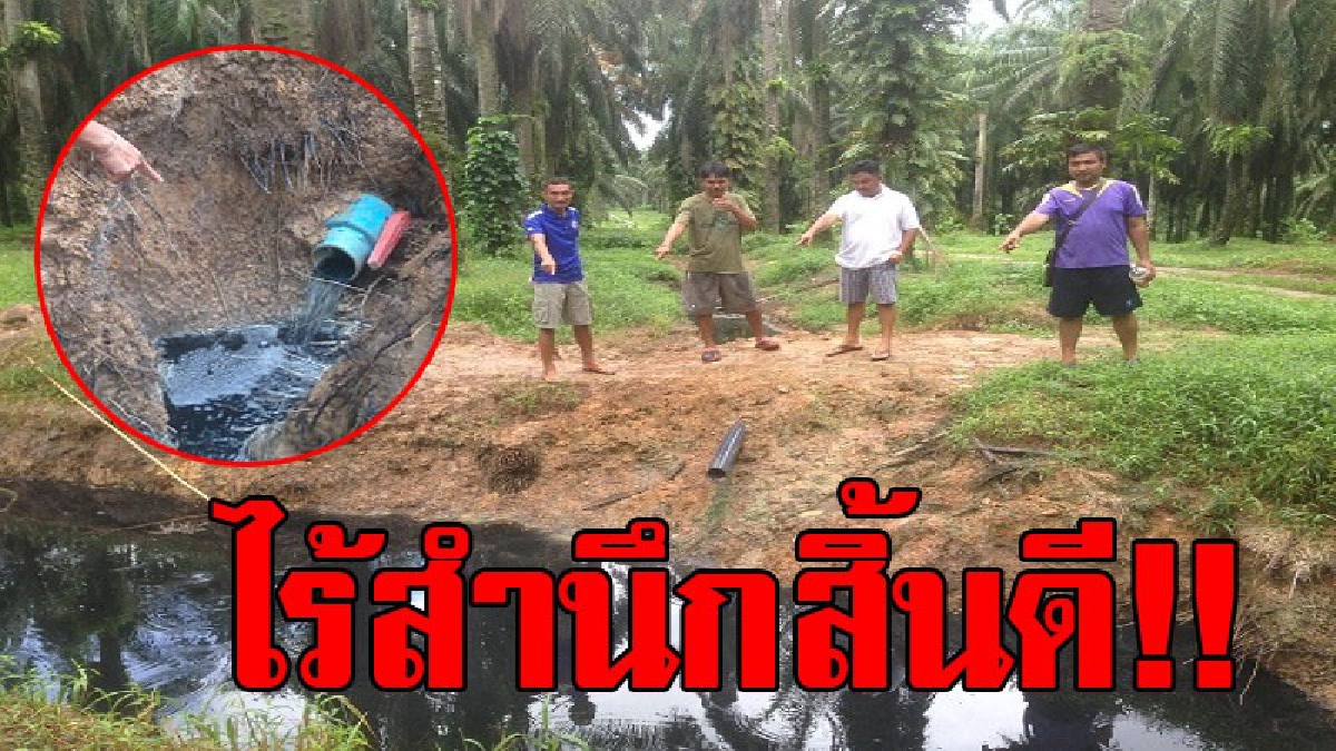น้ำดำปี๋!! ชาวบ้านโวยลั่น ทำไมโรงงานผลิตยางพาราถึงปล่อยน้ำเสียลงคลอง จนน้ำเป็นสีดำ มีกลิ่นเหม็นไปทั่ว นานนับ 10 ปี ไร้การแก้ไข!?