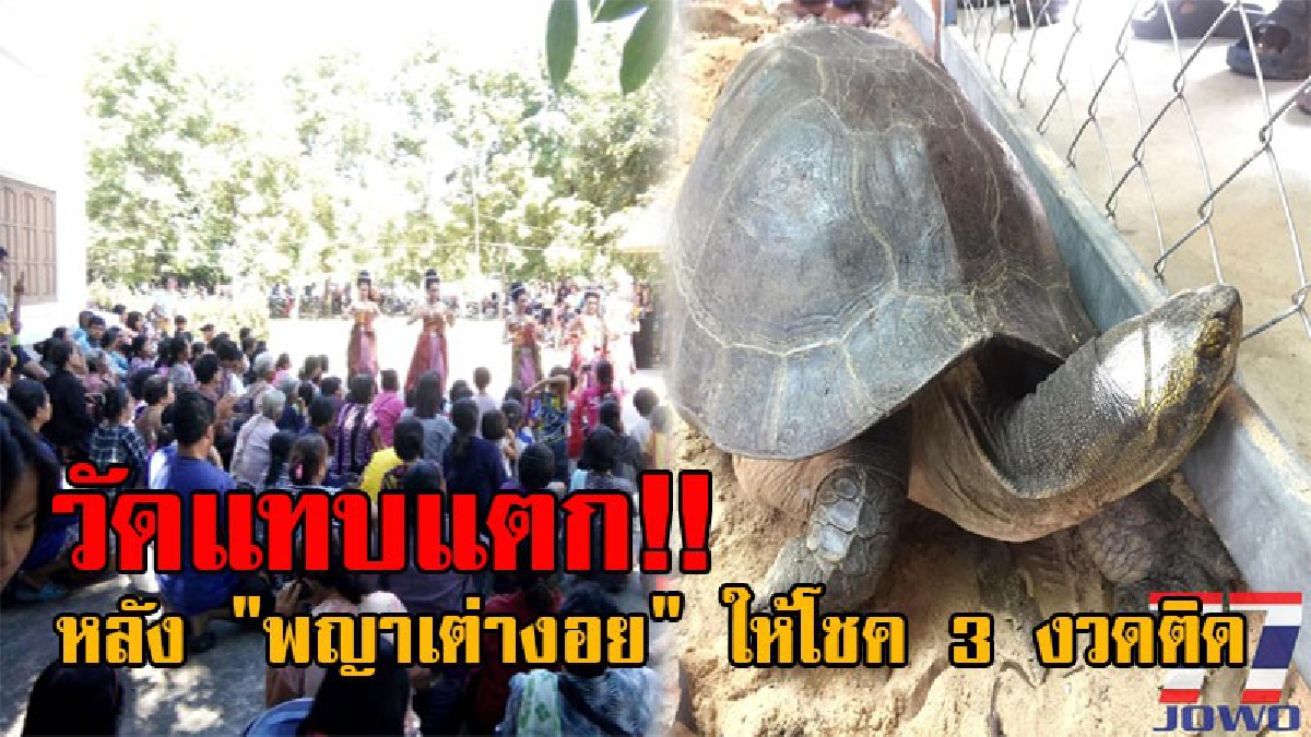 ฮือฮาวัดแทบแตก!! มากันวันละหมื่นคน ชาวบ้านแห่ขอโชคลาภ "พญาเต่างอย" หลังถูกรางวัล 3 งวดติดต่อกัน งวดนี้เลขเด็ดโผล่อีก ลั่นยังไงต้องถูกแน่..!?