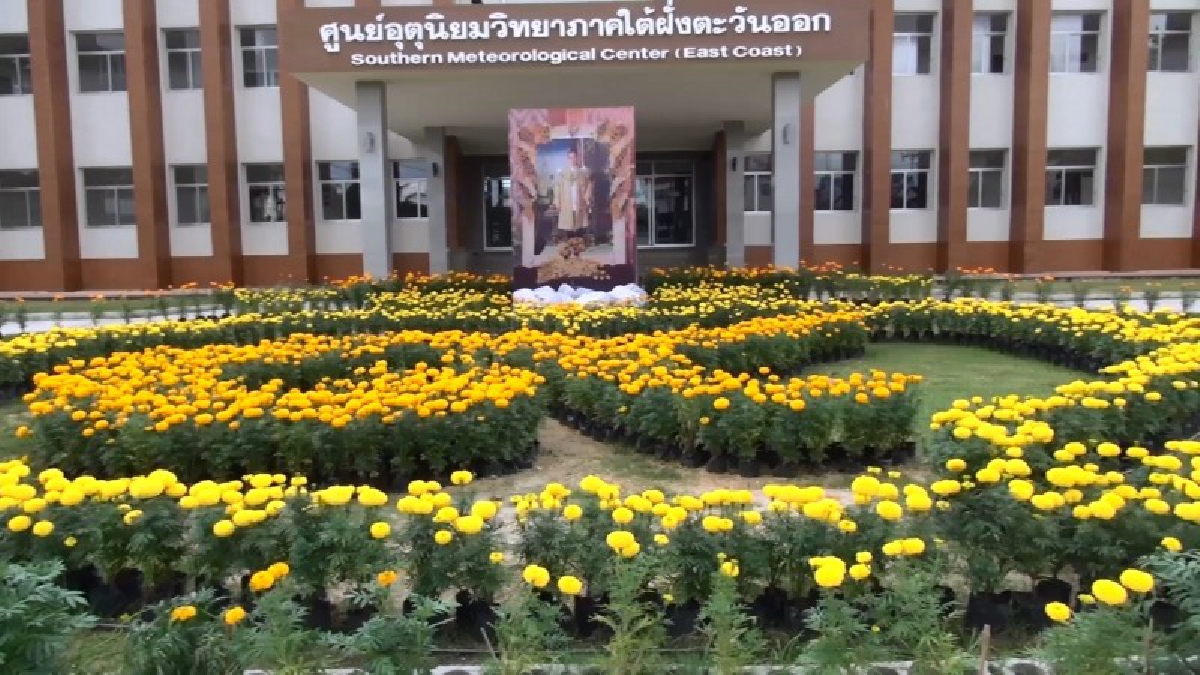 ศูนย์อุตุนิยมวิทยาภาคใต้ นำดาวเรือง 5,000 ต้น มาประดับตกแต่งบริเวณหน้าอาคารอย่างสวยงามมีประชาชน เข้ามาถ่ายภาพเก็บไว้เป็นที่ระลึกทุกวัน