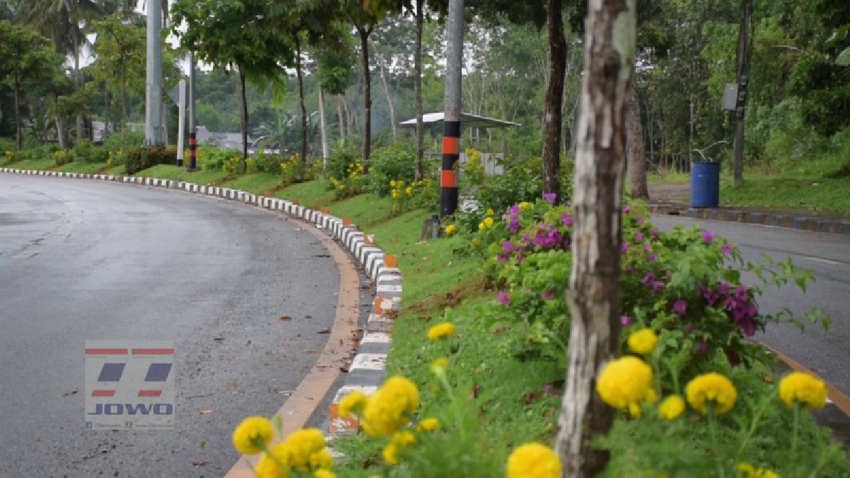 ตรัง!! พลังมวลชน เริ่มปลูกประดับต้นดาวเรืองตามสถานที่ต่างๆ รวมทั้งถนนหนทางเริ่มออกดอกบานสะพรั่ง ตลอดเดือนตุลาคมนี้ เพื่อถวายในหลวงร.9
