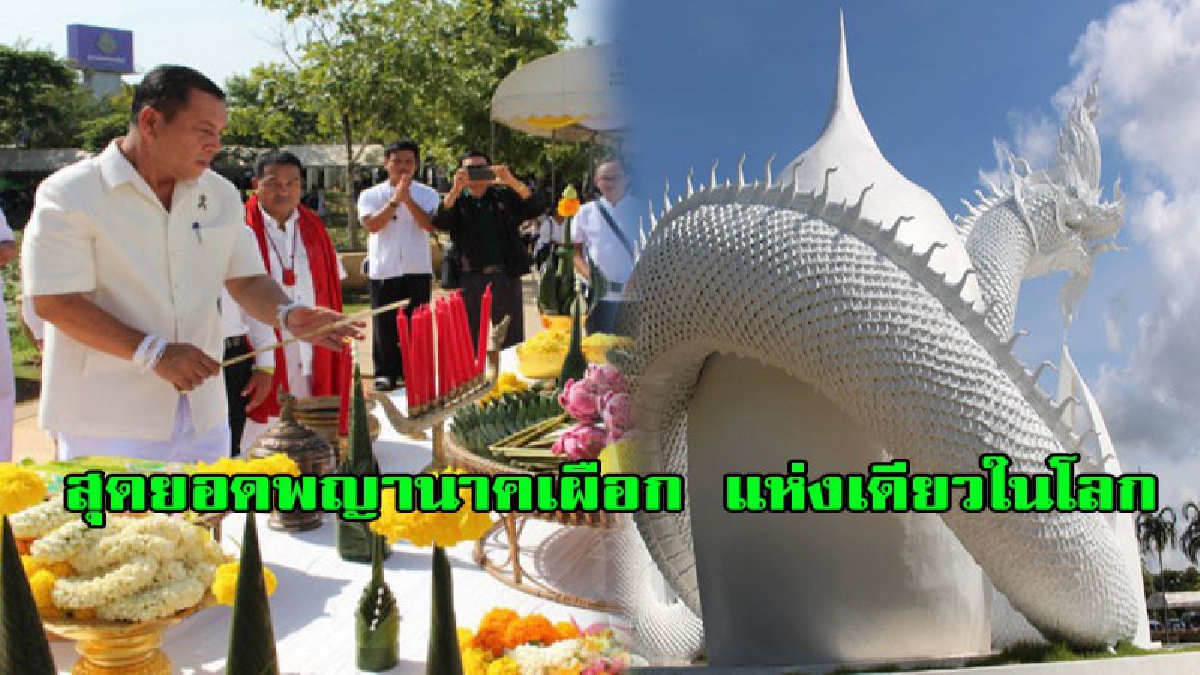 พลังศรัทธาแรง!!สุดวิจิตรงดงาม พญานาคเผือกที่เดียวในประเทศไทย พ่อเมืองสกลฯนำบวงสรวงสุดยิ่งใหญ่