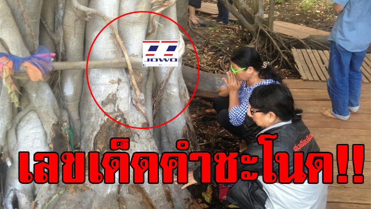 เพ่งกันตาแทบหลุด!? แห่ส่องกันชัดๆ เลขเด็ด "คำชะโนด" โผล่มาให้เห็น 3 ตัวเน้นๆ ทำเซียนหวยฟาดเลขนี้เกลี้ยงแผง!? (ชมคลิป)