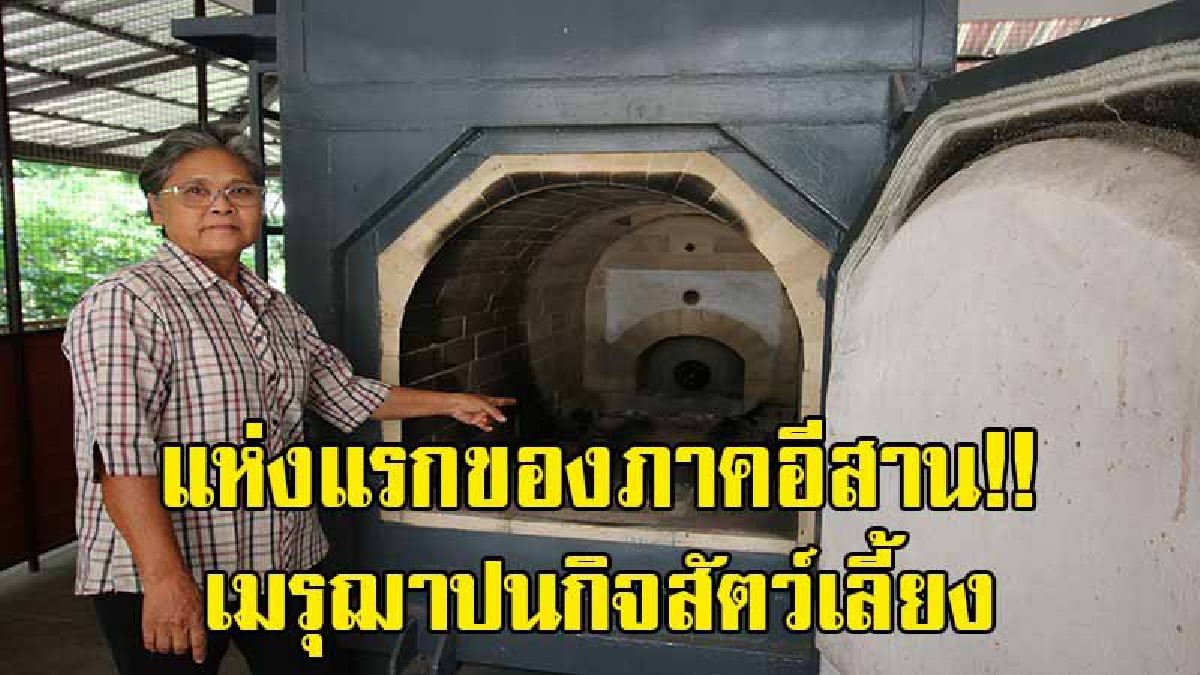 แห่งแรกของภาคอีสาน!! เมรุฌาปนกิจสัตว์เลี้ยงทุกชนิด แบบครบวงจร ภายในวัดดังกลางเมืองโคราช (มีคลิป)