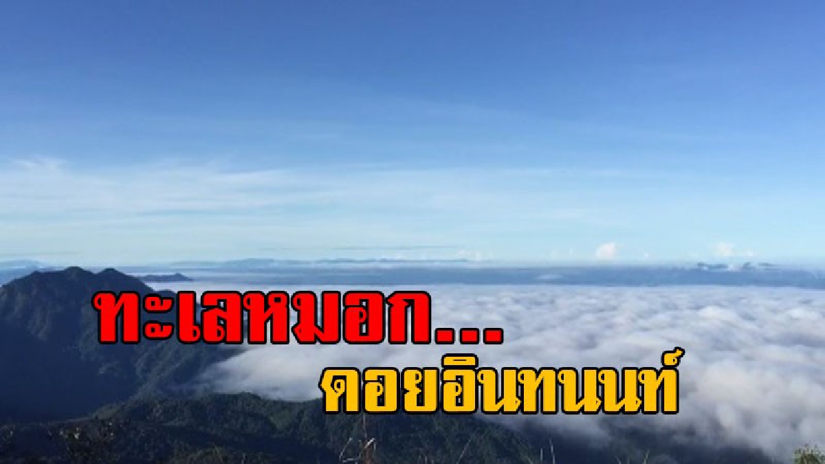 ไม่ทำให้นทท.ผิดหวัง!! ดอยอินทนนท์ เย็นยะเยือก อุณหภูมิลดฮวบ 10 องศา ทะเลหมอกสวยงาม ในช่วงปลายฝนต้นหนาว (ชมคลิป)