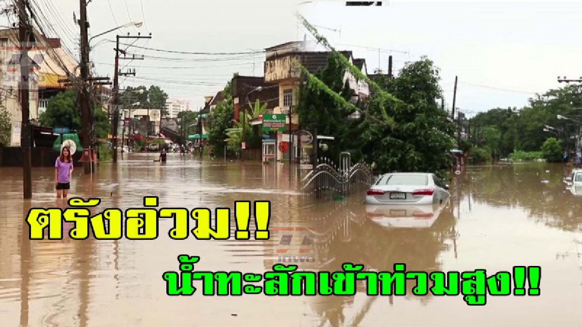 ฝนทำพิษเมืองตรัง!! ฝนตกลงมาอย่างหนักน้ำทะลักเข้าท่วมเขตเทศบาลนครตรัง สูงกว่า 2 เมตร ชาวบ้านเดือดร้อนหนัก จนท.เร่งลงพึื่นที่ช่วยเหลือด่วน!!
