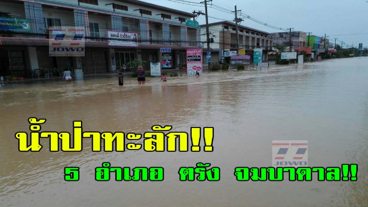 อ่วมหนัก!! น้ำป่าทะลัก ไหลเข้าท่วม 5 อำเภอ ตรัง น้ำท่วมหนัก ถนนหลายสาย รถเล็กห้ามผ่าน