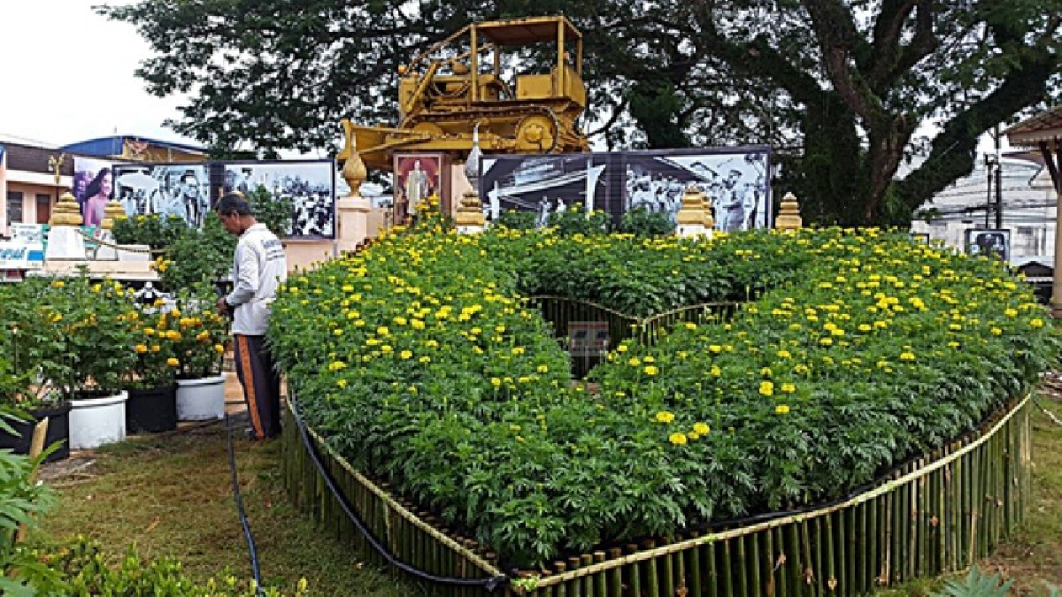 ทำด้วยใจ!!! ชาวพระแสง ปลูกต้นดาวเรือง เป็นรูปหัวใจ ที่แทรกเตอร์พระราชทาน 1 เดียวในประเทศ (มีคลิป)