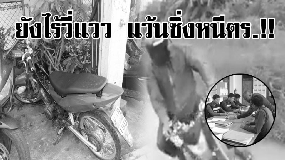 จับได้เอ็งโดนหนักแน่!? ตร.ธัญบุรี เผย โจ๋แว้นซิ่ง หนีสายตรวจ ก่อนมุดป่าหนีหาย ตรวจสอบรถจยย. ผงะพบผิดกม.เพียบ(ชมคลิป)