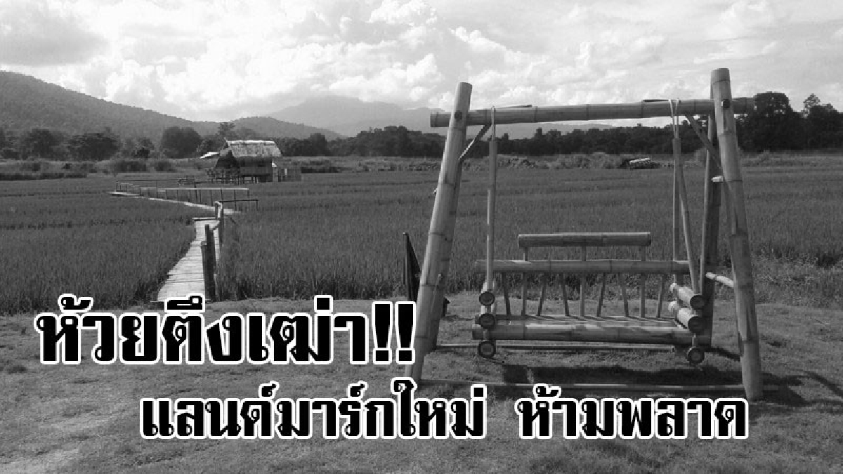 ดั่งต้องมนต์ !! เสน่ห์ห้วยตึงเฒ่าบรรยากาศสุดฟิน แลนด์มาร์คแห่งใหม่ล่าสุดทุ่งนาติดเขาในอ่างเก็บน้ำ ไม่ไปไม่ได้แล้ว
