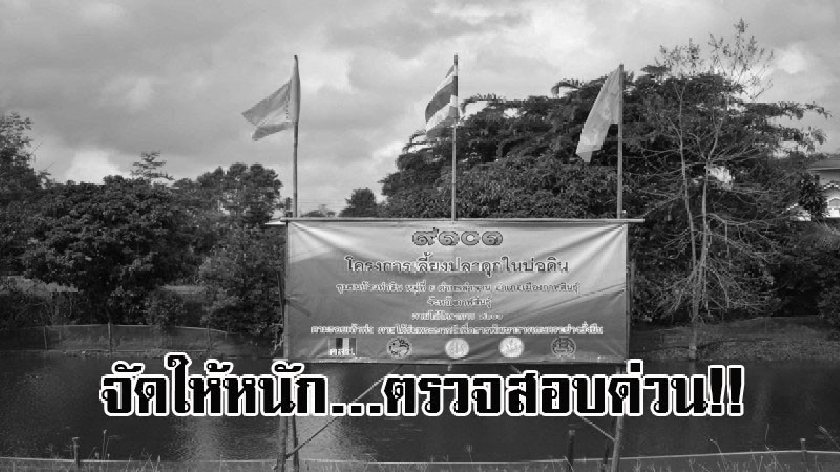 โผล่อีก!! เลี้ยงปลาบ่อดินส่อ “งาบ 9101” ประธานโครงการเลี้ยงลูกปลาขาย คาดโกยเงินเข้ากระเป๋าเป็นกระบุง ร้องผู้ว่าฯกาฬสินธุ์คนใหม่ จัดให้หนัก