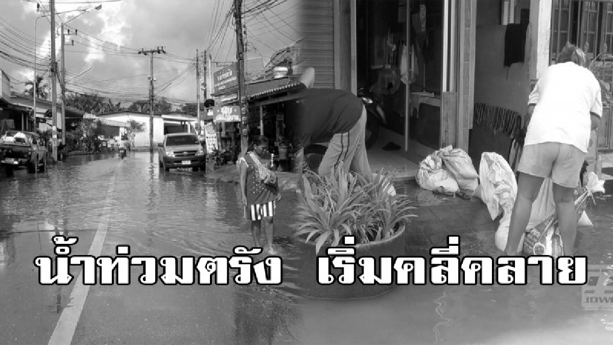 เริ่มคลี่คลาย!! น้ำท่วมตรัง เริ่มลด เขตเทศบาลนครตรัง ท่วมขัง แม่น้ำตรังล้นตลิ่ง น้ำระบายได้ล่าช้า