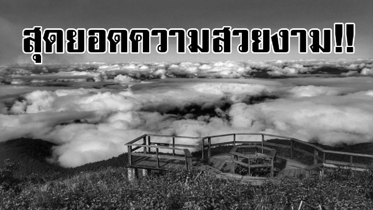 ความสวยงามของธรรมชาติรออยู่..!! เตรียมยลโฉมเส้นทางธรรมชาติ ป่าเมฆน้ำตกในกิ่วแม่ปาน 1 พย. นี้ หลังปิดมาหลายเดือน (มีคลิป)
