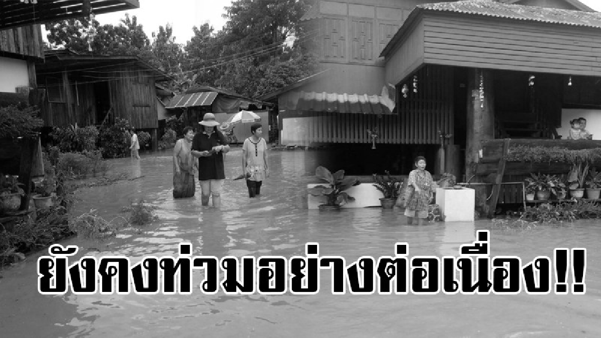 พิษจากฝน!! ฝนกระหน่ำตกหนักตลอดทั้งคืน ทำให้น้ำท่วมถนนสายแพร่-ลอง จนรถเล็กไม่สามารถถสัญจรไปมาได้ และขณะน้ำป่าเริ่มไหลเข้าหมู่บ้านแล้ว!?