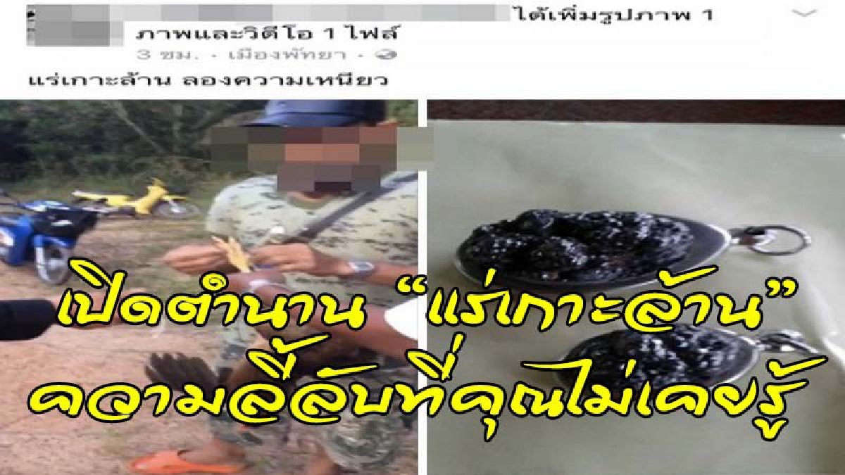 เปิดตำนาน"แร่เกาะล้าน"..ความลี้ลับที่คุณไม่เคยรู้..? หลังกลุ่มชายฉกรรจ์ นำคล้องคอไก่ ยิงปืนลองของขลัง (ดูคลิป)