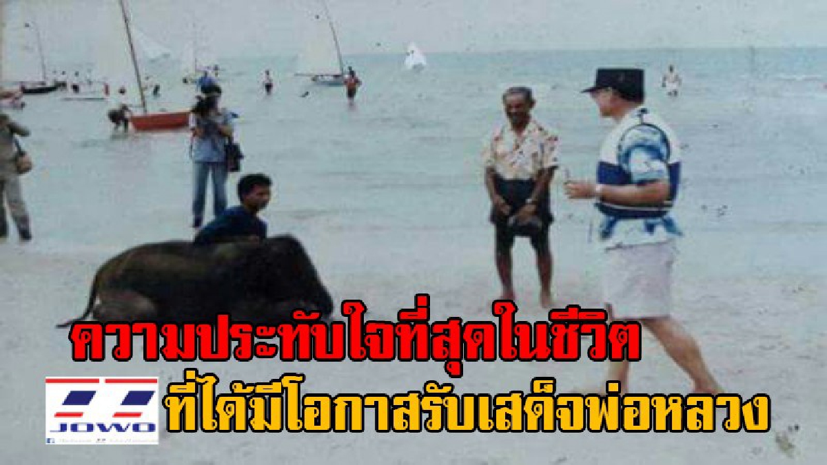 ความประทับใจที่สุดในชีวิต ! เปิดบุคคลในภาพ ควาญช้างสุรินทร์ ถวายงานต่อหน้าพระพักตร์ ในหลวง ร.9 ที่มีความรู้สึกปลื้มปิติ อย่างหาที่สุดมิได้..