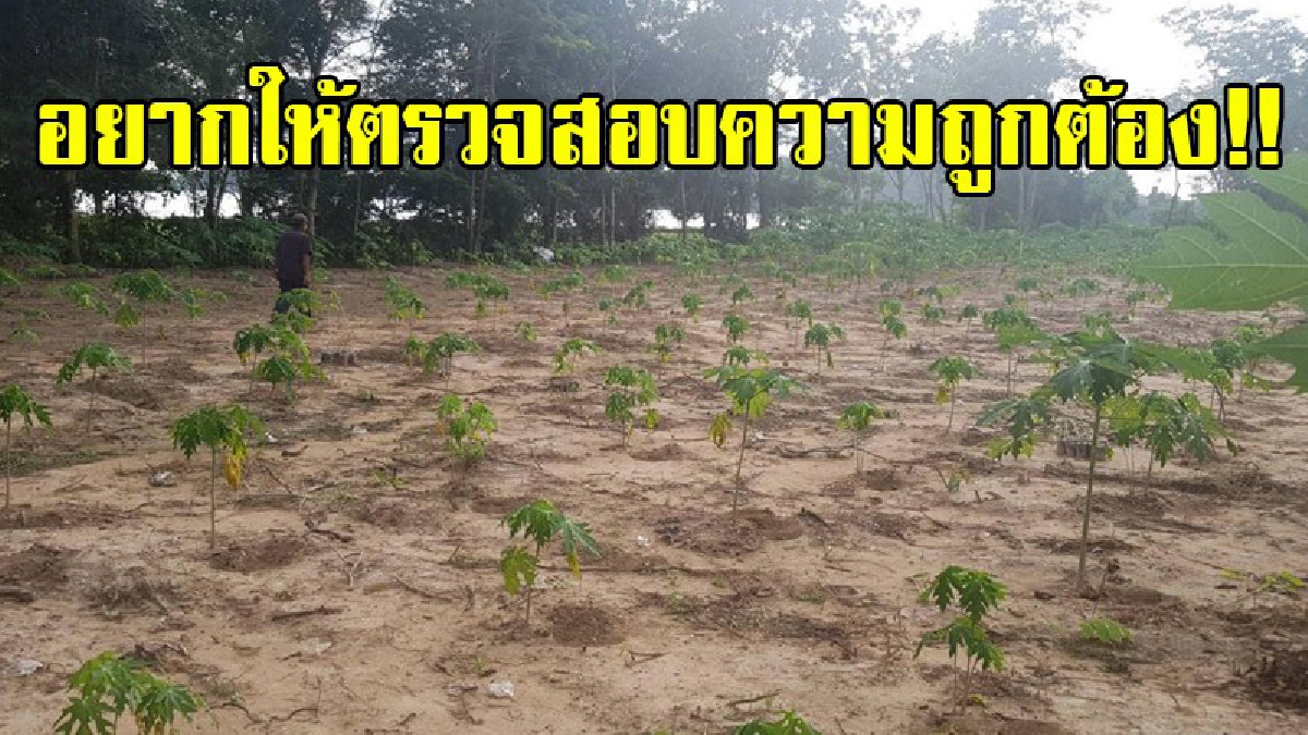 เหมือนโดนรังแก!? ชาวบ้านนาหกสิบร้องสื่อ โดนผู้มีอิทธิพลฉีดยาฆ่าหญ้าเกินขนาด ทำให้ไหลลงลำห้วยดงสีโท จะใช้น้ำอาบก็คัน แถมปลาตายระนาว!?