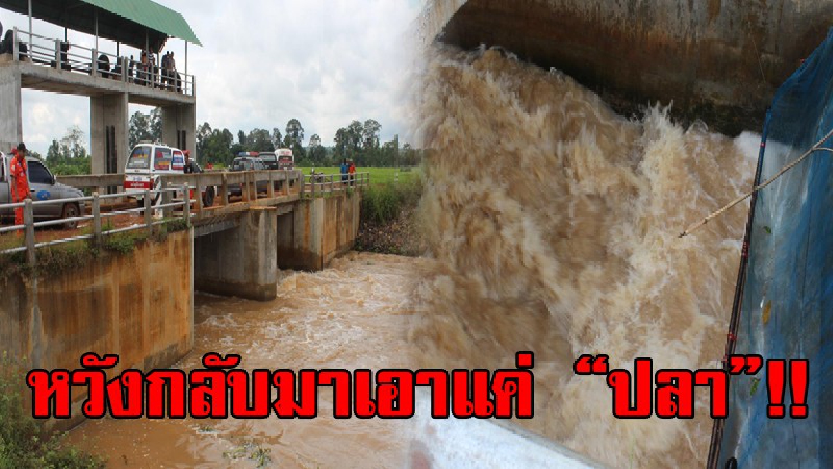 ช่วงความเป็น ความตาย..!! ลุงวัย61 ดีใจสุดๆได้ปลาตัวใหญ่ไปขายจากโต่งดักปลา ครั้งนี้หวังแค่มาเก็บปลาอีกครั้ง แต่มันกลับไม่ได้เป็นแบบนั้น..!?