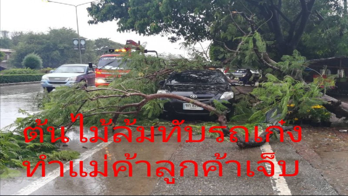 #รอดหวุดหวิด เตือนภัยให้ระวังฝนตกลมแรงไม่ควรอยู่ใต้ต้นไม้ไม่เช่นนั้นจะเป็นแบบนี้ (ดูคลิป)