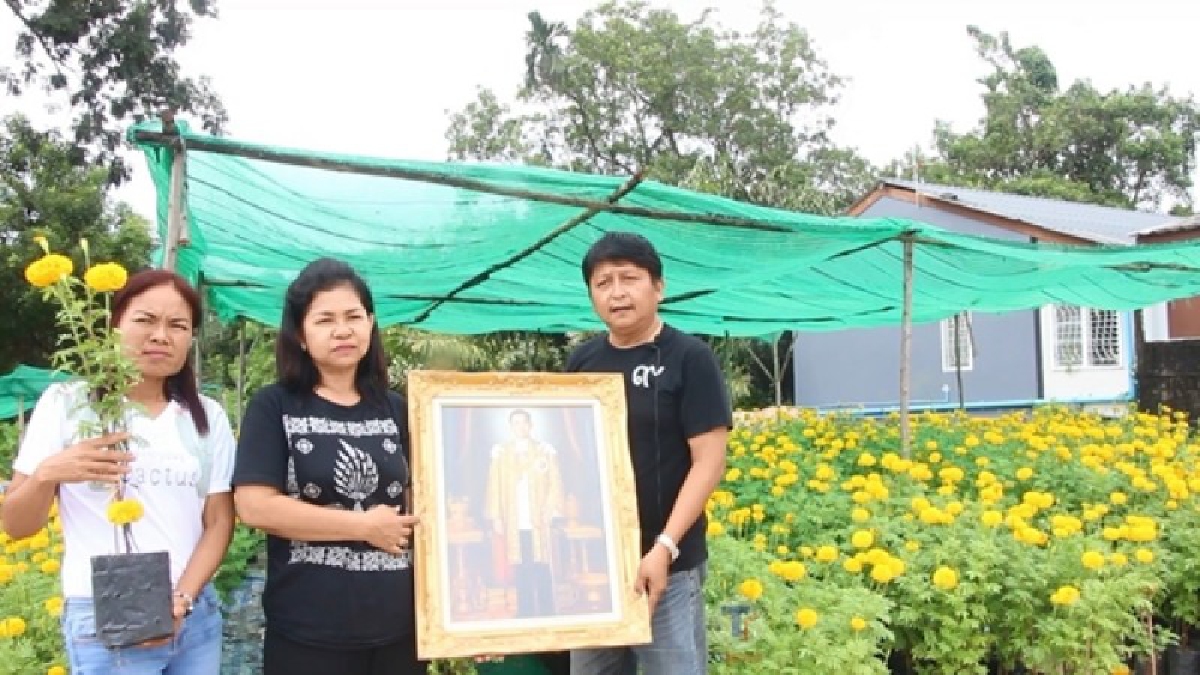 สุขในหัวใจ !! ดอกดาวเรืองบานสะพรั่งทั้งอำเภอบ้านฉาง ประชาชนพร้อมใจนำประดับหน่วยงาน บ้านเรือน