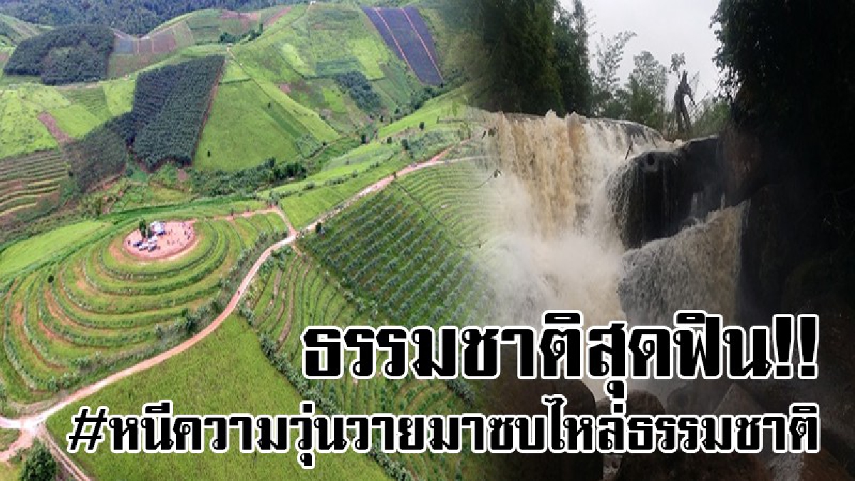 แพ็คกระเป๋าเดินทางกับคนรู้ใจ..!! พิษณุโลกชวนเที่่ยว "ชมนาขั้นบันได" บ้านน้ำจวง บอกเลยทั้งสวยและน่าค้นหา พร้อมดื่มด่ำกับธรรมชาติสุดฟิน!!