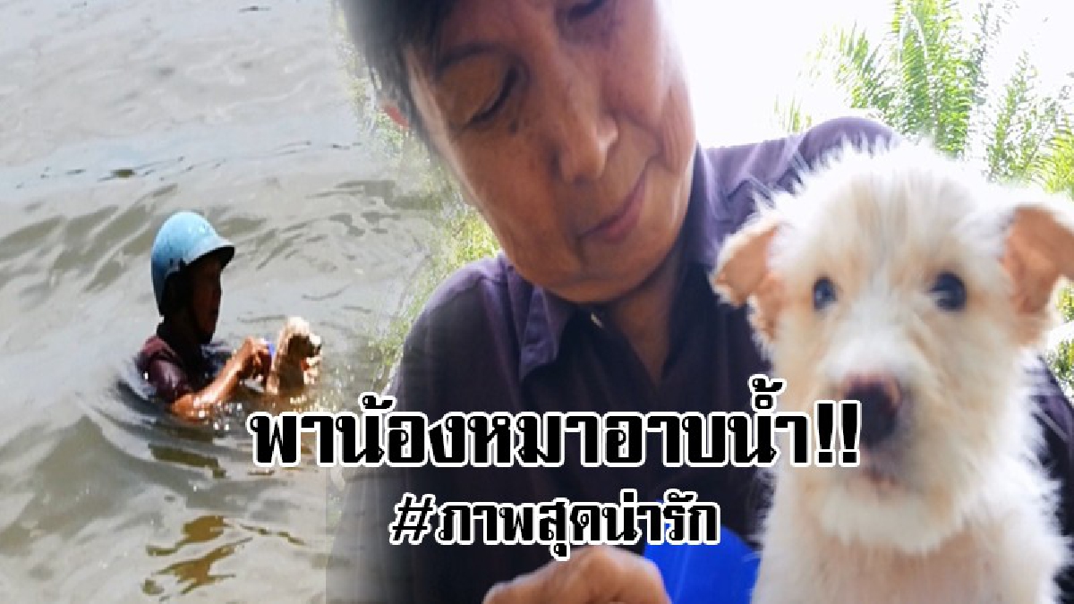 ใครเห็นก็ต้องยิ้ม..!? หญิงชรา จับน้องหมาอาบน้ำเค็ม บอกเลยเป็นภาพที่แสนจะน่ารัก น่าเอ็นดู..!!