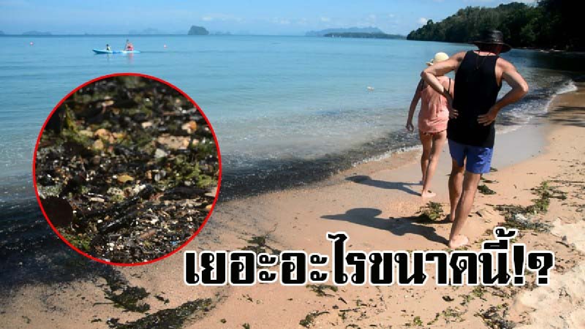 แตกตื่นกันทั้งหาด..!! พบสาหร่ายสีเขียวไม่ทราบชนิด ลอยเกลื่อนหาดทับแขก ระยะทางกว่า 1 กม. ทำเอานักท่องเที่ยว ไม่กล้าลงเล่นน้ำ!? (คลิป)