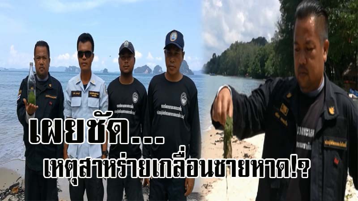 รู้สาเหตุแล้ว..!! คืบหน้าพบสาหร่าย เกลื่อนชายหาด จนท.โร่เข้าสำรวจ พร้อมเผย เพราะสาเหตุนี้เอง ทำให้พบเห็นเป็นจำนวนมาก!? (คลิป)