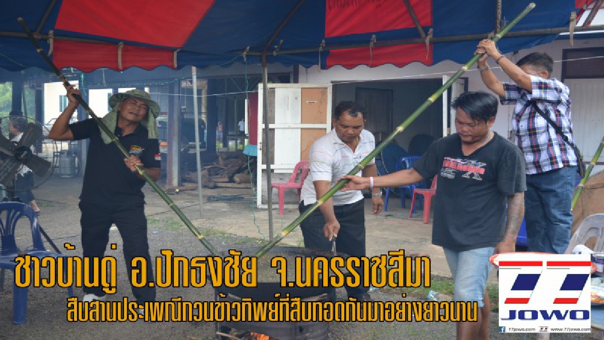 ชาวบ้านดู่ อ.ปักธงชัย จ.นครราชสีมา สืบสานประเพณีกวนข้าวทิพย์ที่สืบทอดกันมาอย่างยาวนาน