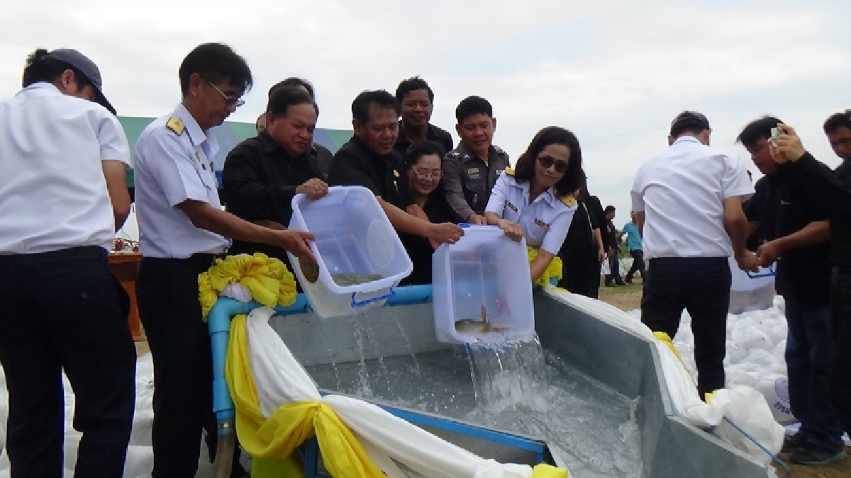 เปิดโครงการปล่อยน้ำเข้านา ปล่อยปลาเข้าทุ่ง ช่วยเกษตรกรสร้างรายได้ฤดูน้ำหลาก ให้สอดคล้องกับการจัดสรรน้ำของกรมชลประทาน ลดการระบาดของศัตรูพืช