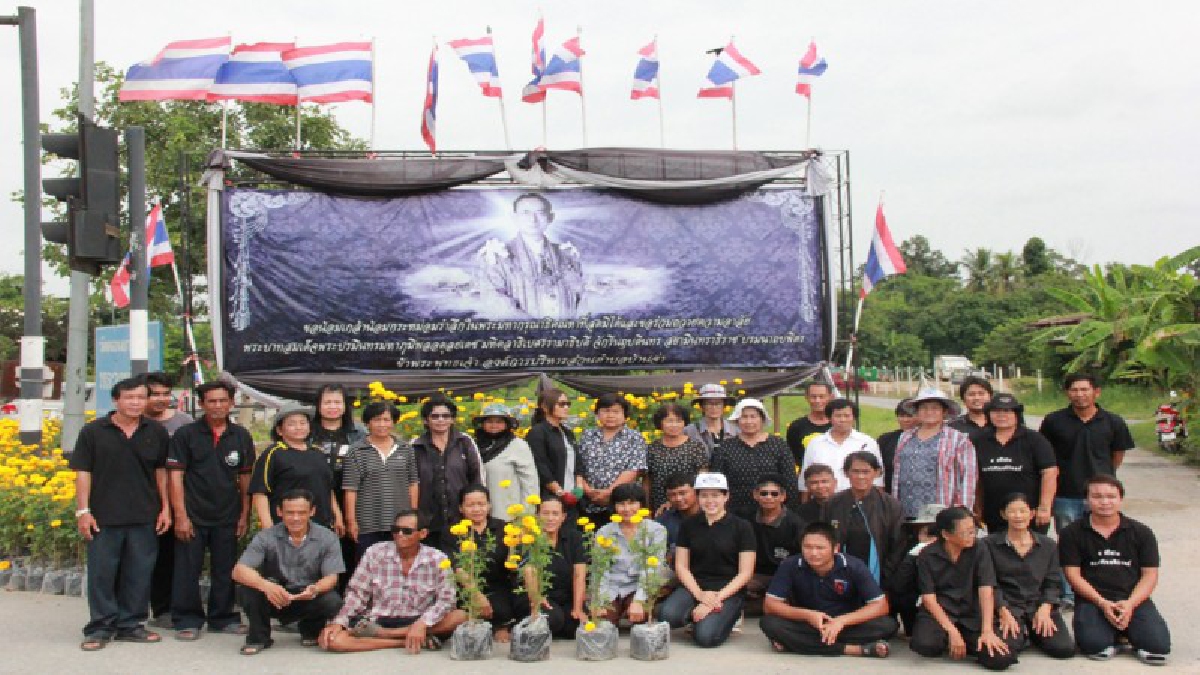 กลุ่มเพาะพันธุ์กล้าไม้ของพ่อ (ดอกดาวเรือง) ร่วมใจปรับภูมิทัศน์สี่แยกบ้านจ่าน้อมรำลึกถึงพระมหากรุณาธิคุณ ในหลวง ร.9 (ดูคลิป)