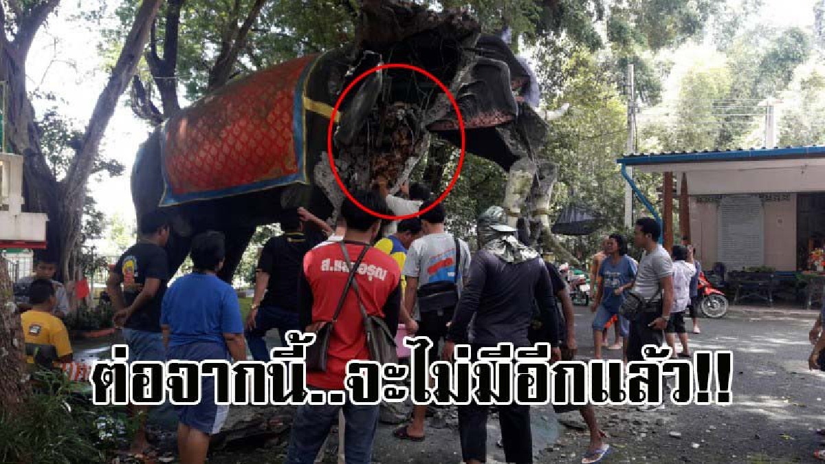 แตกตื่นกันทั้งบาง !? ชาวบ้านแห่วิ่งกรู แย่งชิงกันยกใหญ่ หลังทุบช้างสามเศียร เจอเหรียญมงคล 2,000 เหรียญ เผยเพราะต่อจากนี้ จะไม่มีอีกแล้ว..!!