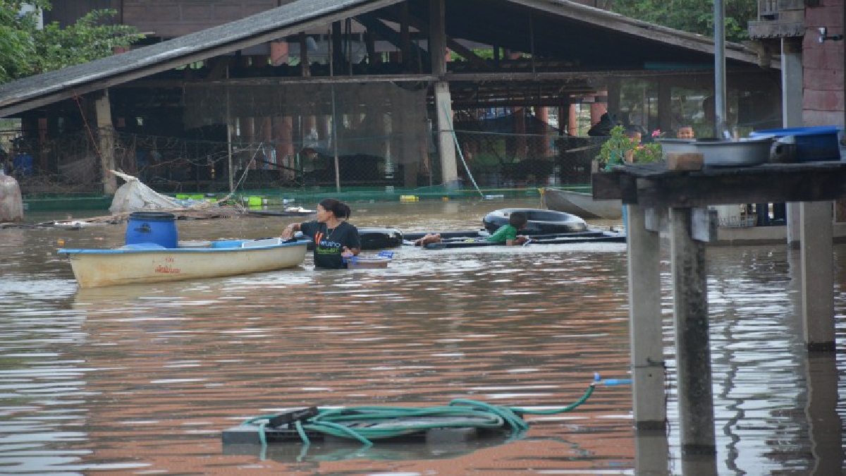 อ่างทอง..!! น้ำเจ้าพระยา ทะลักเข้าท่วมบ้านเรือนประชาชน เกือบ 40 หลังคาเรือน หลังเขื่อนเจ้าพระยาเร่งระบายน้ำ (มีคลิป)