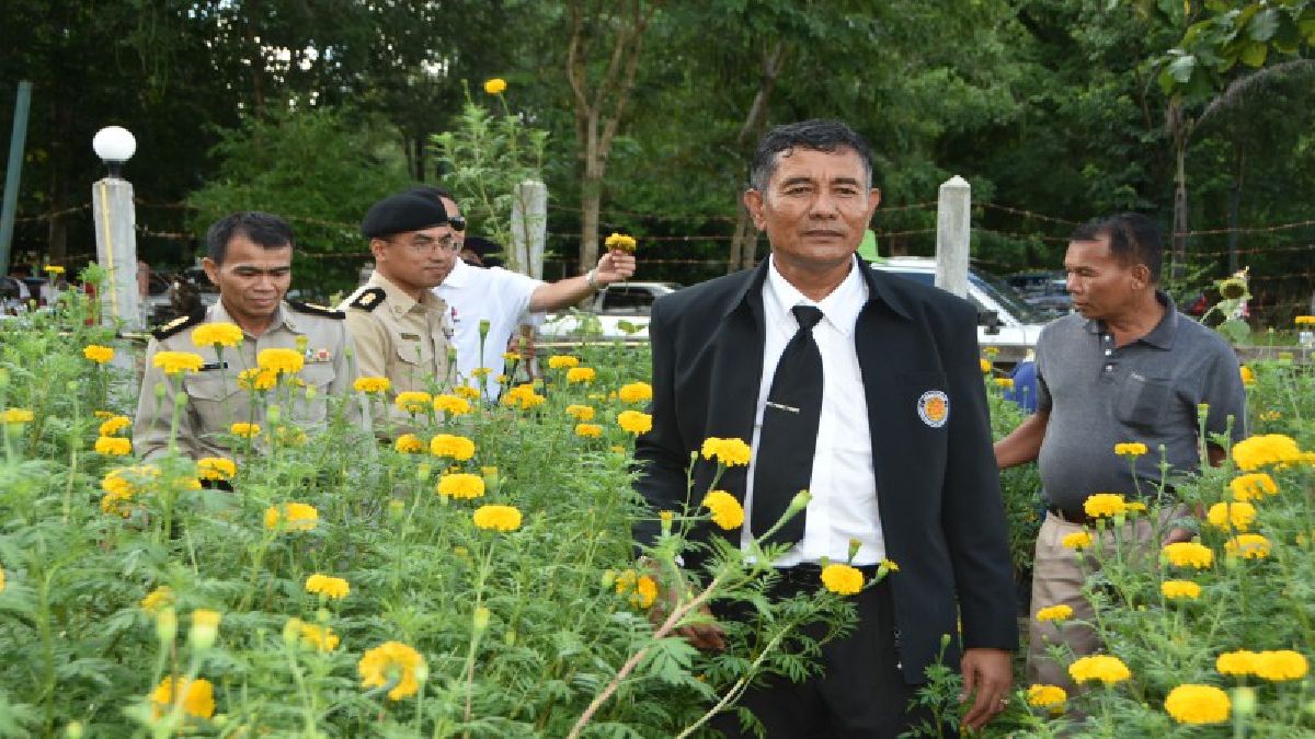 ผู้ต้องขังเรือนจำจังหวัดศรีสะเกษปลูกต้นดาวเรืองกว่า 2 หมื่นต้น เพื่อถวายเป็นพระราชกุศลแด่ในหลวงรัชกาลที่ 9