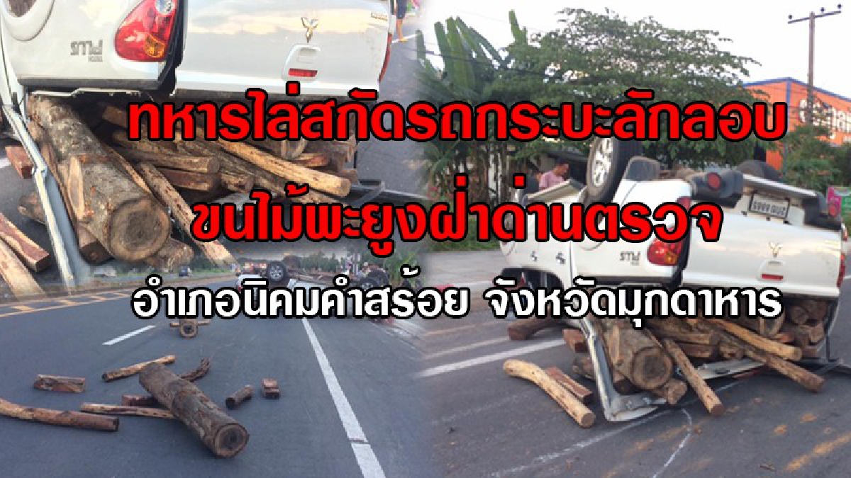 พลิกแผ่นดินล่า!! เร่งสืบสวนหากลุ่มขบวนการลักลอบค้าไม้พะยูงข้ามชาติ หลังฝ่าด่านตรวจ ทำรถเสียหลักพลิกคว่ำมูลค่านับล้านบาท..!?