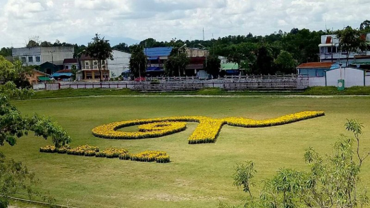 นักเรียนโรงเรียนนราธิวาสนำต้นดอกดาวเรืองที่ช่วงกันเพาะ 5,000 ต้น จัดเป็นรูปตัวอักษรเลข 9 ไทย  เพื่อร่วมน้อมรำลึกในหลวง รัชกาล 9
