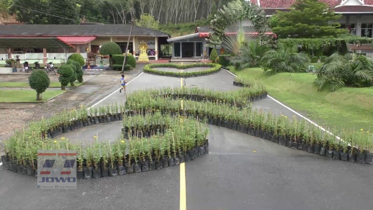 ตรัง ..! วัดประจำอำเภอต่างๆ เริ่มจัดประดับตกแต่งสถานที่ รวมทั้งซุ้มถวายดอกไม้จันทน์ และเริ่มดำเนินการก่อสร้างเตาเผาดอกไม้จันทน์ (ดูคลิป)