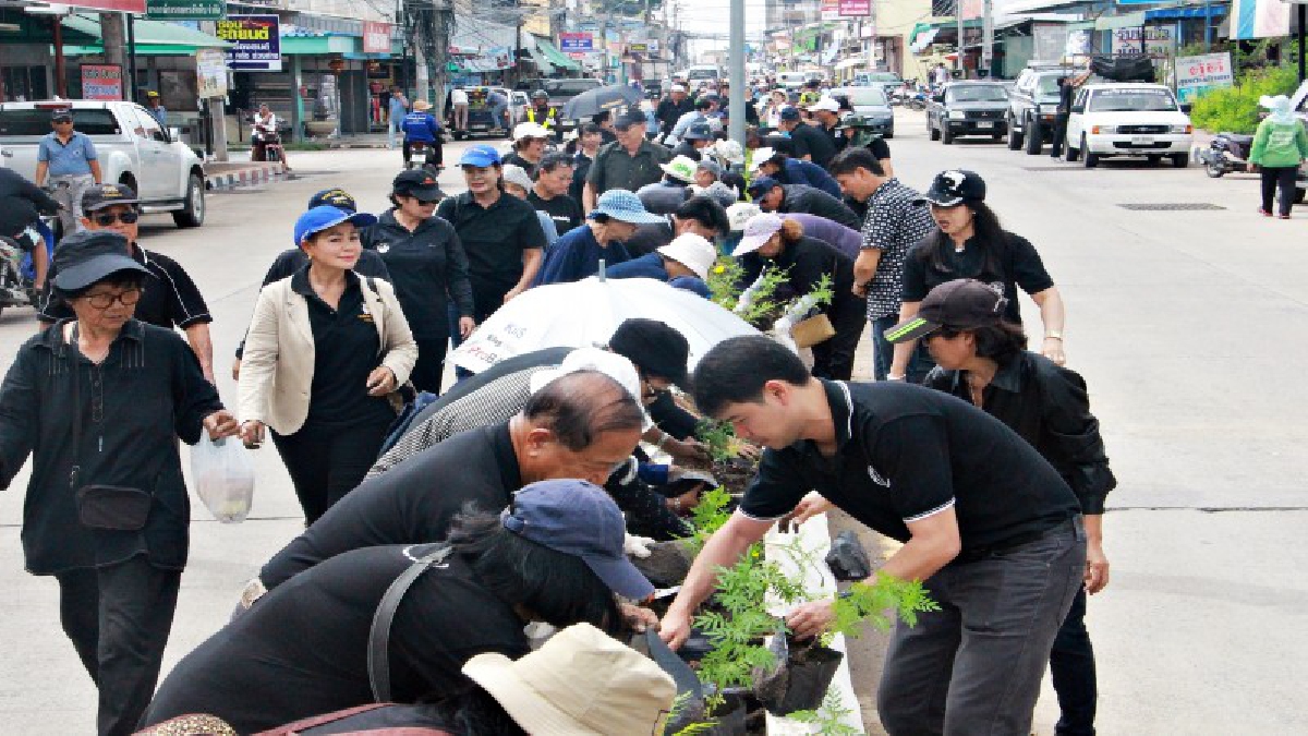 รวมพลังใจทำเพื่อพ่อ..!! เมืองสัตหีบร่วมปลูกต้นดาวเรือง 11,000 ต้นให้เหลืองอร่ามทั่วแผ่นดิน..!!