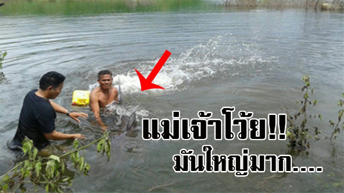 บุญใหญ่หล่นทับ..!! ฮือฮาทั้งบาง ชาวบ้านเจอปลายักษ์ กลางเขื่อนลำปลายมาศ เงินหมื่นไหลมาทันที บอกเลยว่ายิ่งกว่าถูกหวย!? (มีคลิป)