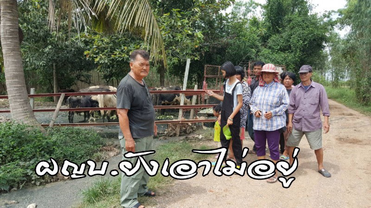 ชาวบ้านโวยยับ ทนกลิ่นมูลวัวมาร่วม 2 ปี หลังนายทุนซื้อที่ดินเลี้ยงวัว ปล่อยกลิ่นเหม็นคลุ้ง ผญบ.เคยเข้าเคลียร์ โดนเจ้าของที่ต่อยหน้าหงาย