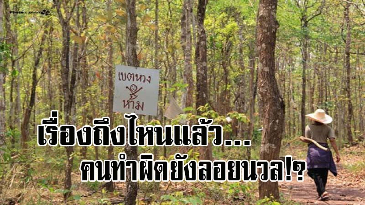 ถามดังดัง เรื่องนี้ไปถึงไหน..!! จนท.ออกเอกสารสิทธิ์ ส.ป.ก.๔-๐๑ ทับซ้อนที่ป่าสงวนลานสาง จ.ตาก ตามประกาศกรมป่าไม้ คนผิดยังลอยนวล!? (คลิป)