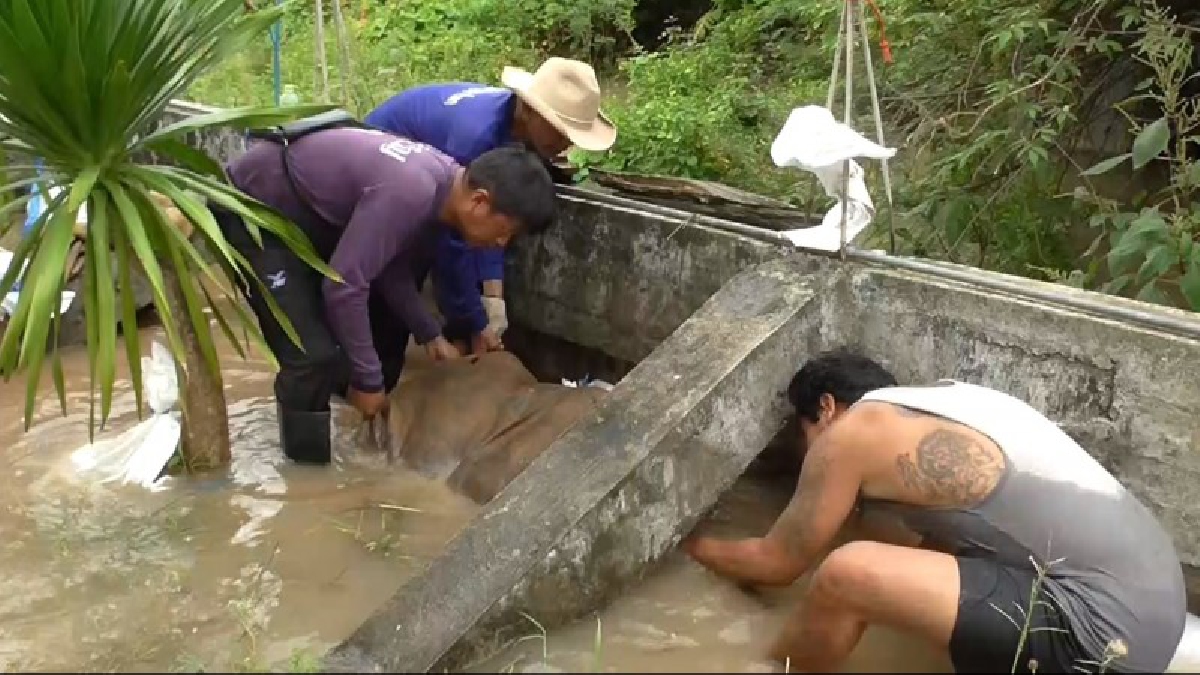 ผวาน้ำทะลุคันกั้นน้ำ ริมเจ้าพระยาป่าโมกสองจุดส่งผลเอ่อล้นสูงว่า 50 ซม.ขณะที่เจ้าหน้าที่ระดมกระสอบทรายอุดจ้าละหวั่น